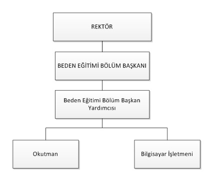 Organizasyon Şeması